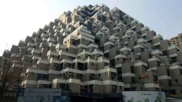 东升国际官网-追求康健,你我一起生长