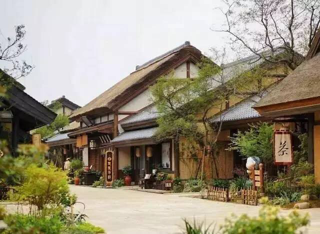 东升国际官网-追求康健,你我一起生长