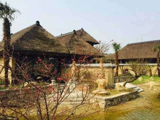 东升国际官网-追求康健,你我一起生长