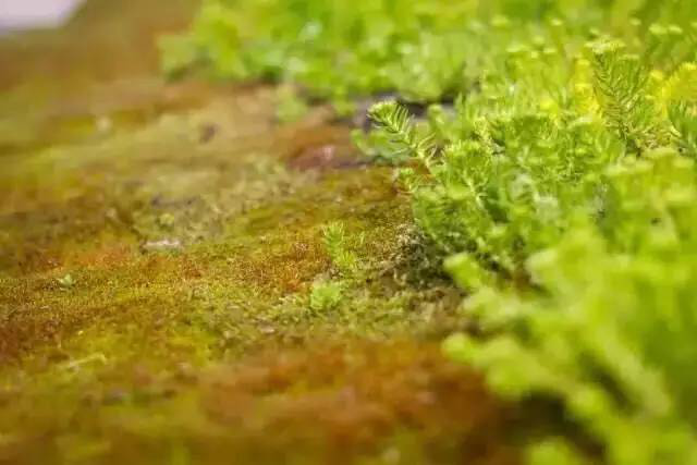 东升国际官网-追求康健,你我一起生长