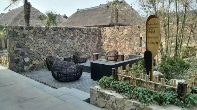 东升国际官网-追求康健,你我一起生长